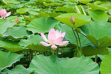 《英雄传说：界之轨迹》预告释出 全新旅程即将开启